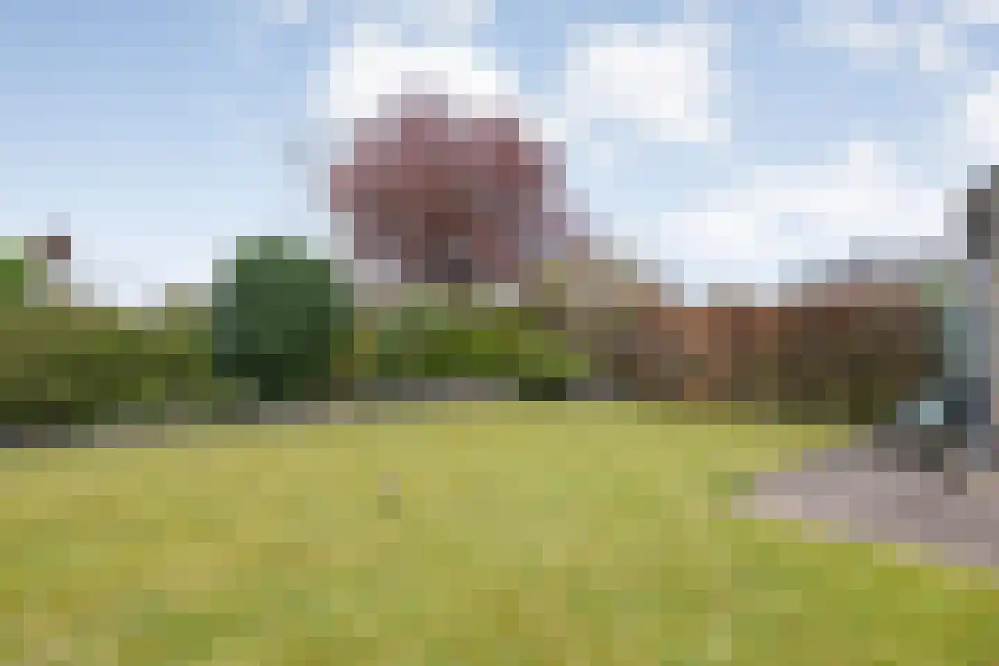 Lijsterstraat 10 Nijeveen thumbnail 44