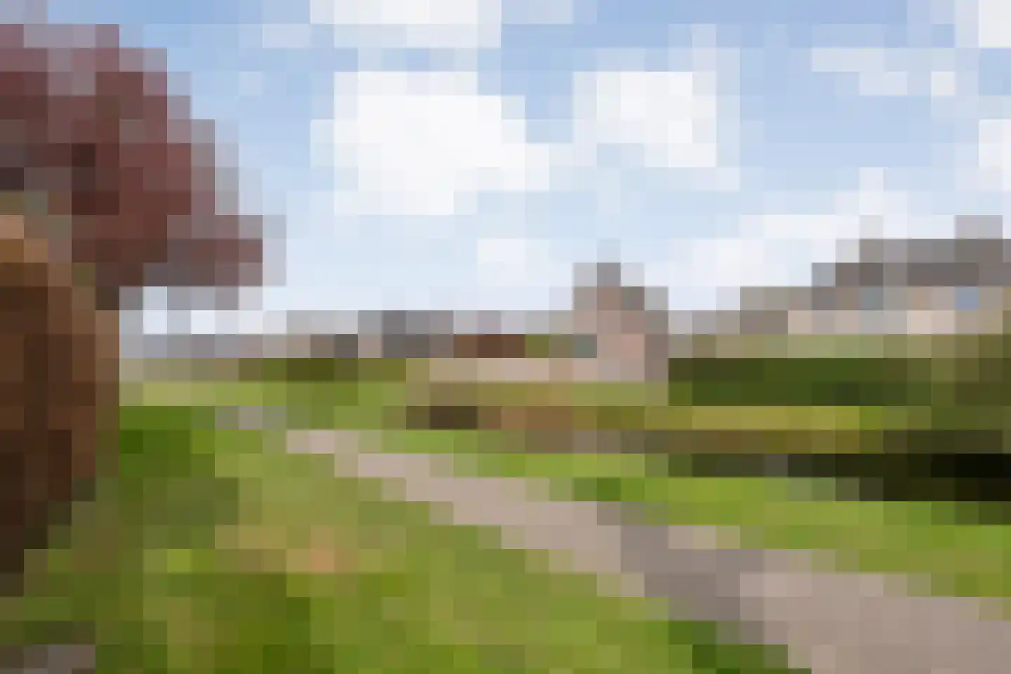 Lijsterstraat 10 Nijeveen thumbnail 47