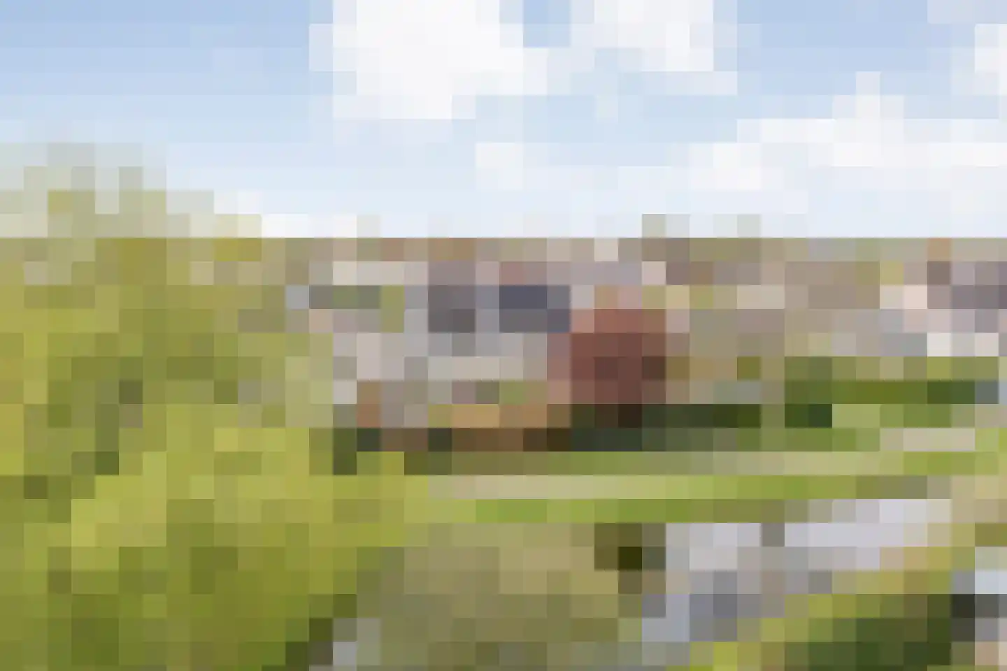 Lijsterstraat 10 Nijeveen thumbnail 5