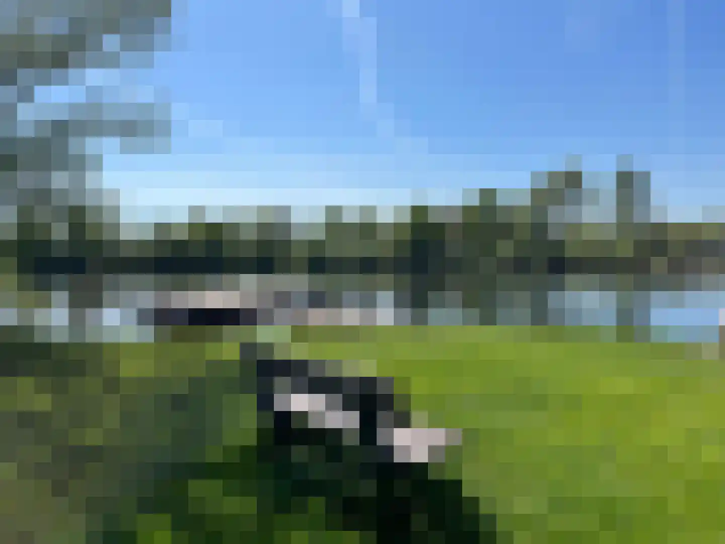 Lijsterstraat 10 Nijeveen thumbnail 54