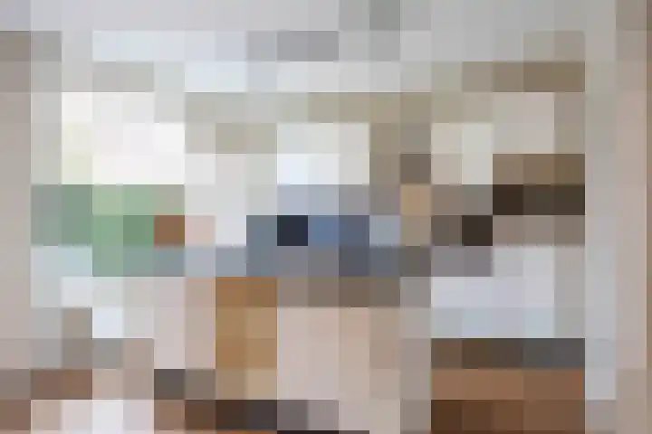 Lijsterstraat 10 Norg thumbnail 17