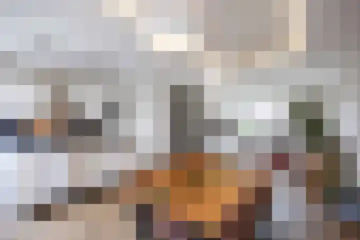 Lijsterstraat 10 Norg thumbnail 20