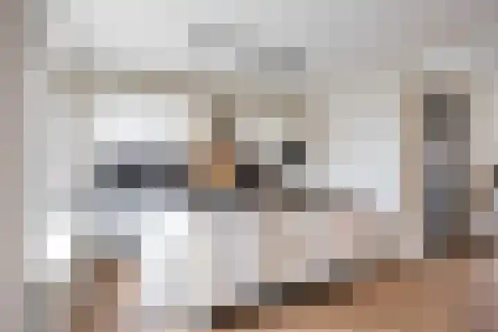 Lijsterstraat 10 Norg thumbnail 21