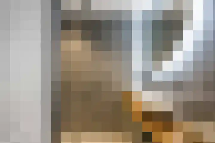 Lijsterstraat 10 Norg thumbnail 30