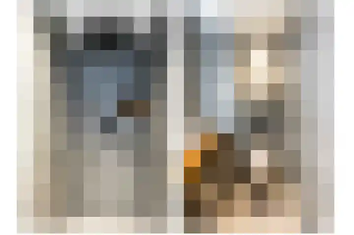 Lijsterstraat 10 Norg thumbnail 31