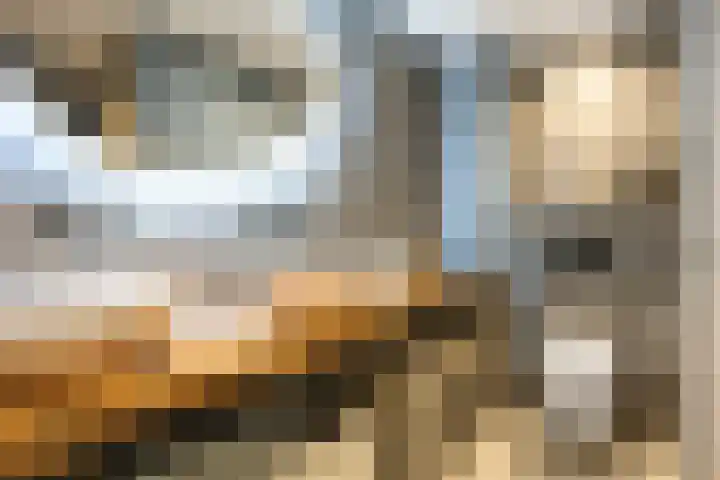 Lijsterstraat 10 Norg thumbnail 32