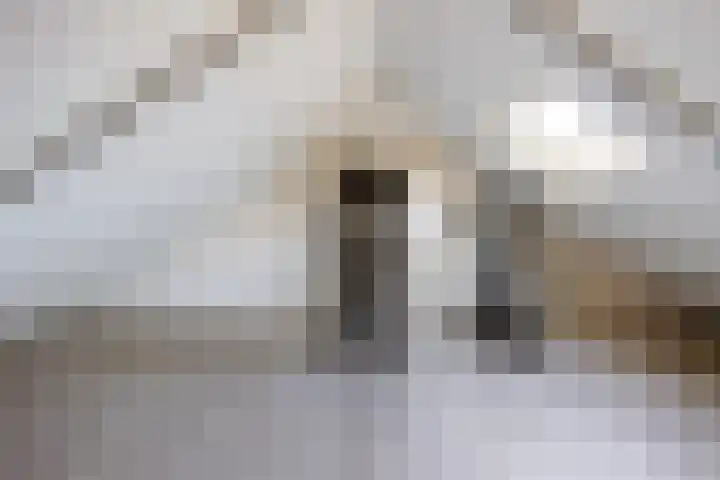 Lijsterstraat 10 Norg thumbnail 33