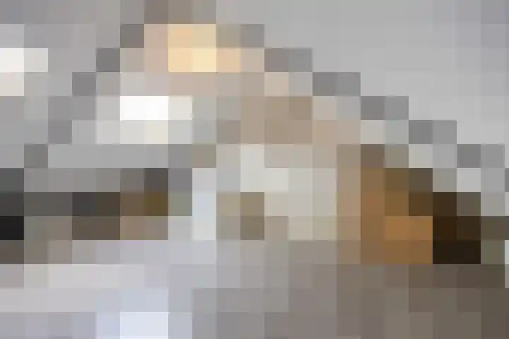 Lijsterstraat 10 Norg thumbnail 34