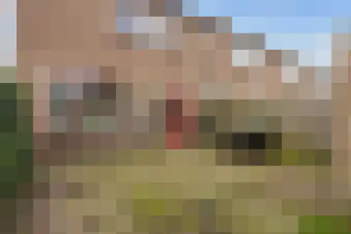 Lijsterstraat 10 Norg thumbnail 35