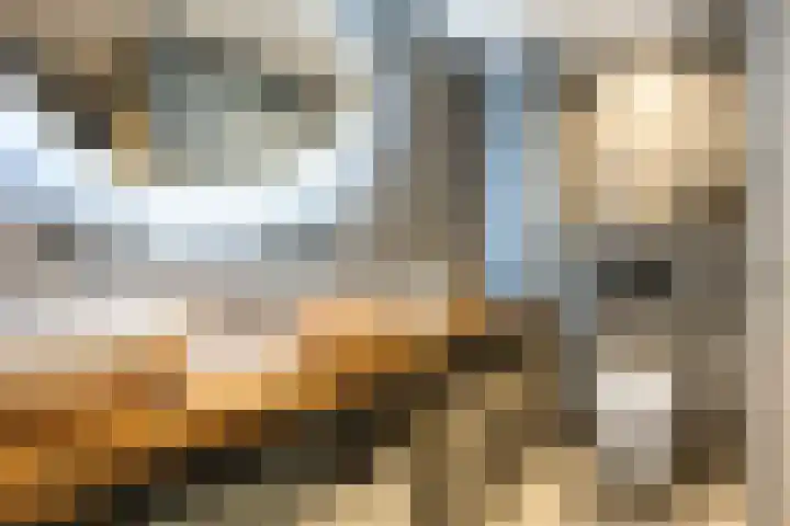 Lijsterstraat 10 Norg thumbnail 4