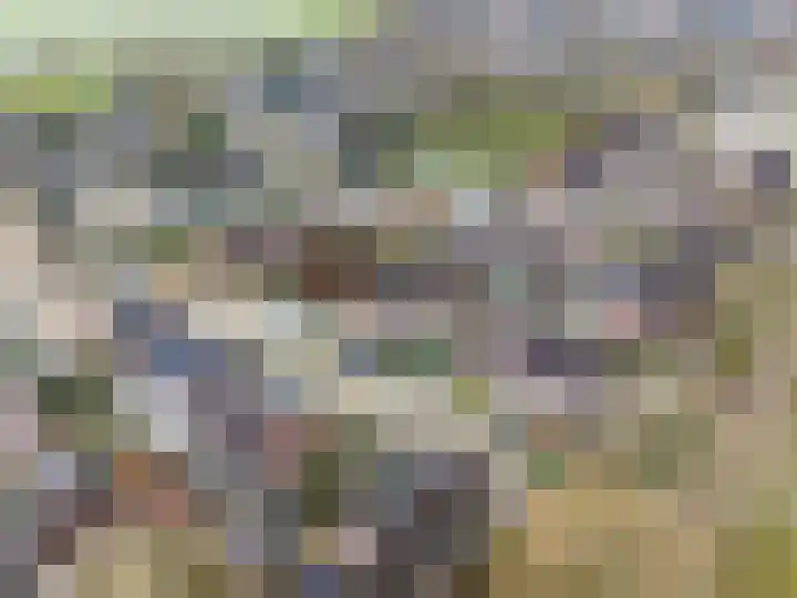 Lijsterstraat 10 Norg thumbnail 7