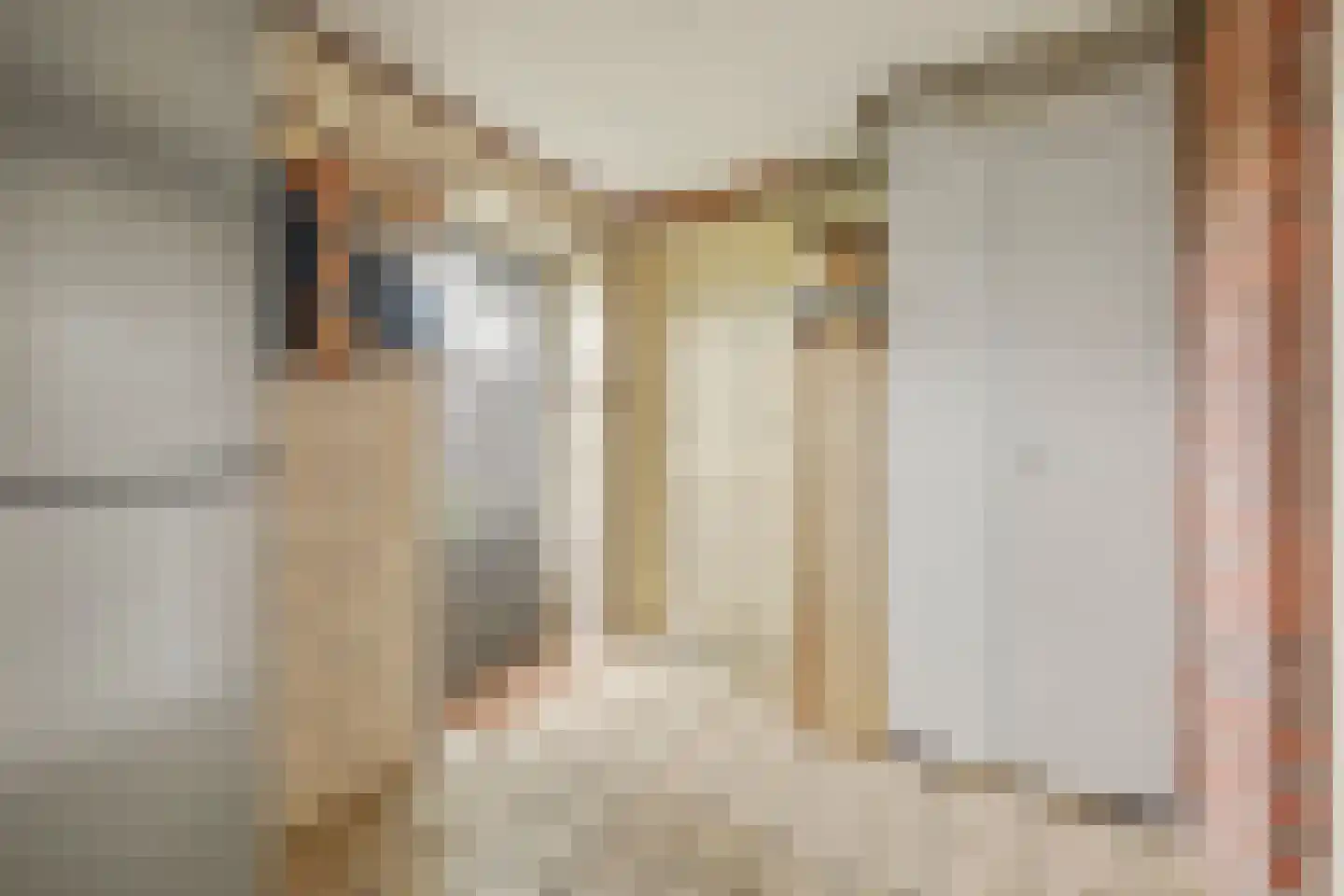 Lijsterstraat 10 Winterswijk thumbnail 23