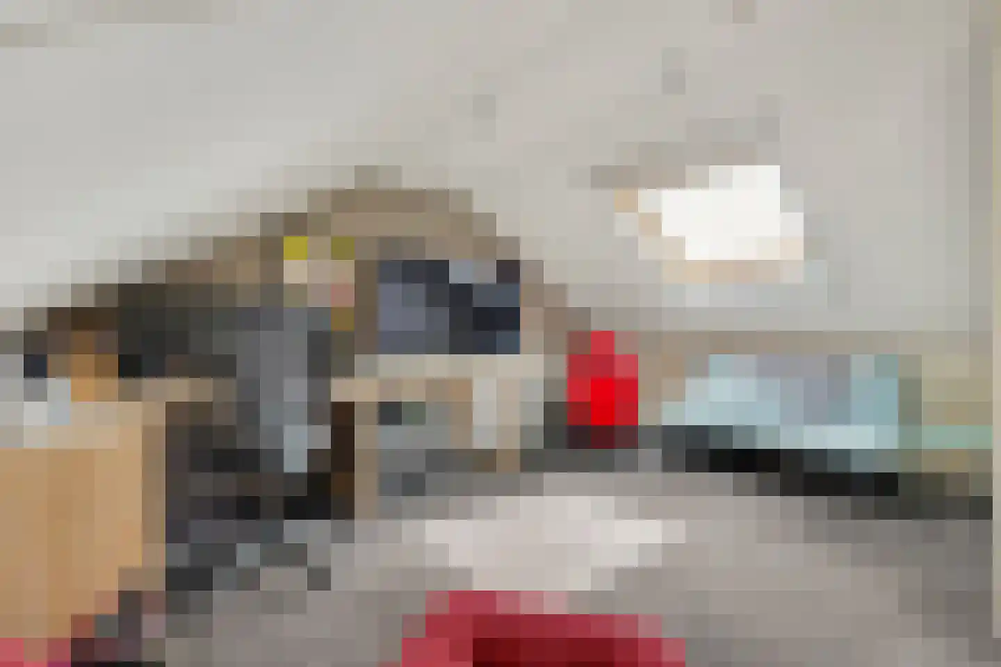 Lijsterstraat 10 Winterswijk thumbnail 38