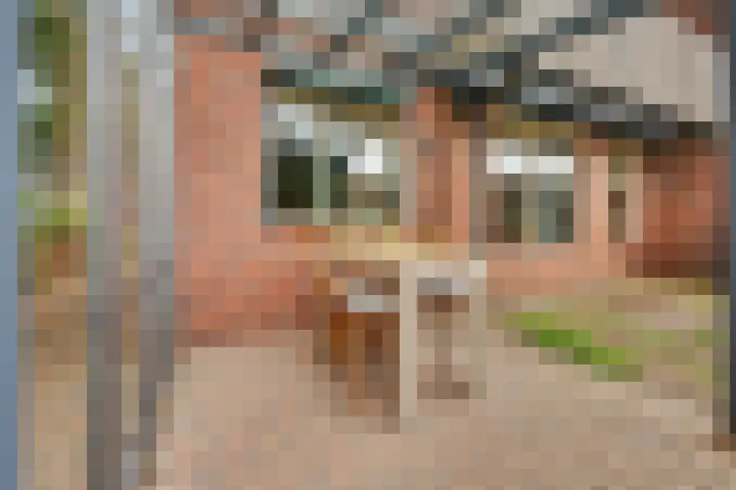 Lijsterstraat 10 Winterswijk thumbnail 48