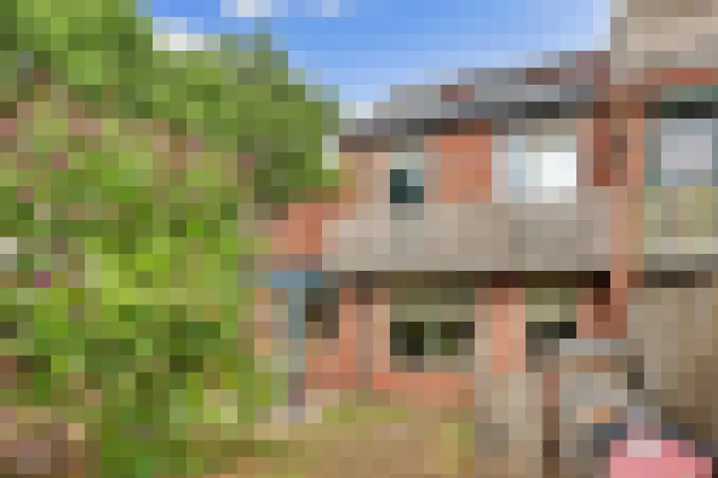 Lijsterstraat 10 Winterswijk thumbnail 51