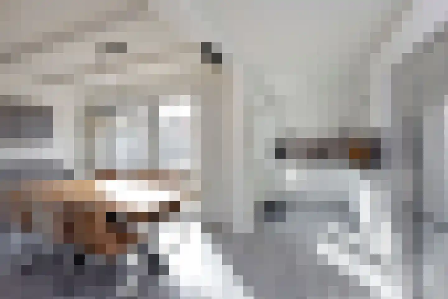 Lijsterstraat 10 Woerdense Verlaat thumbnail 4