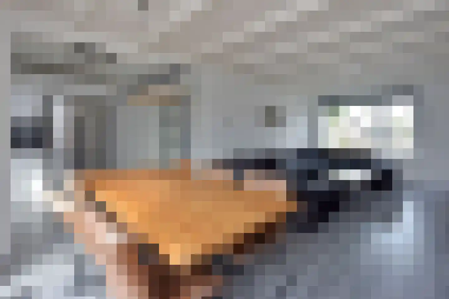 Lijsterstraat 10 Woerdense Verlaat thumbnail 8