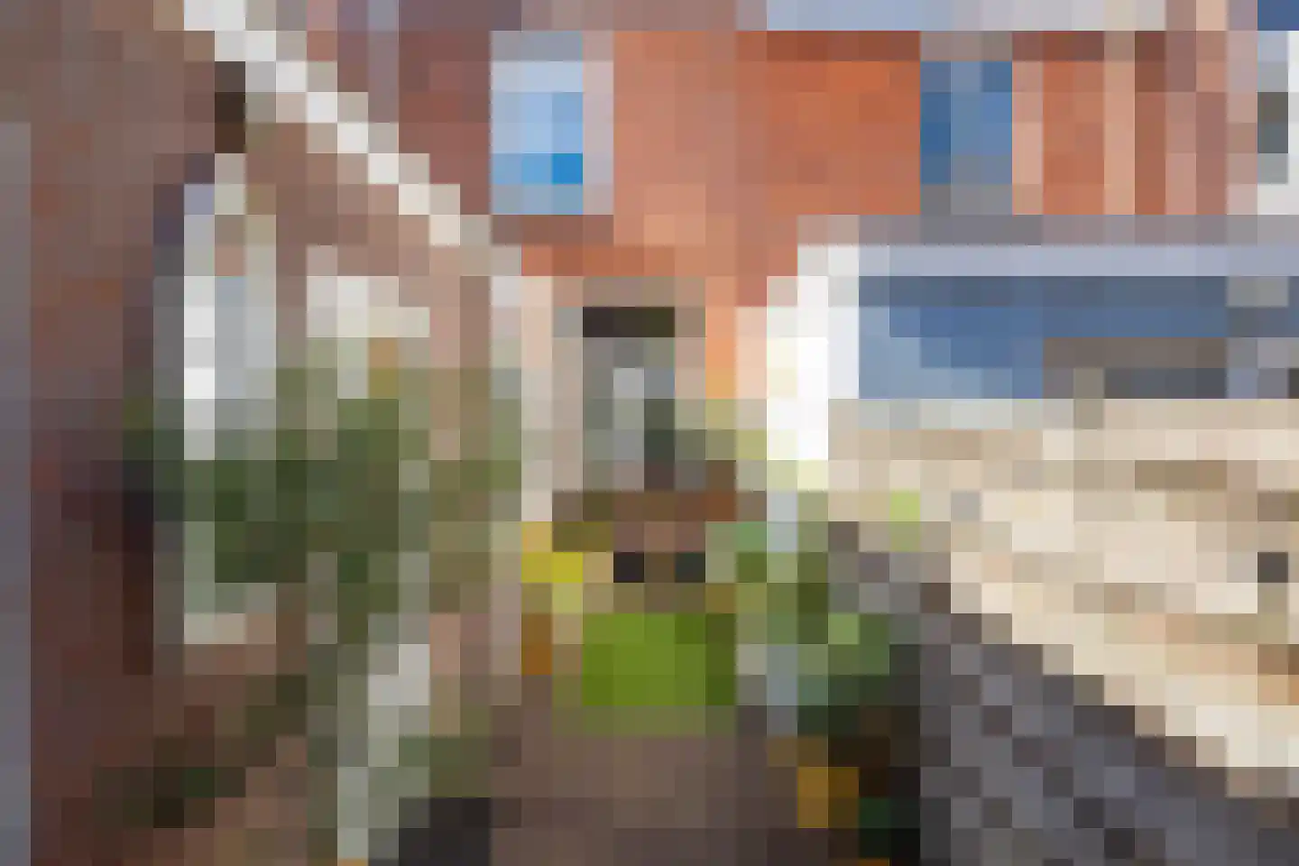 Lijsterstraat 115 Utrecht thumbnail 14
