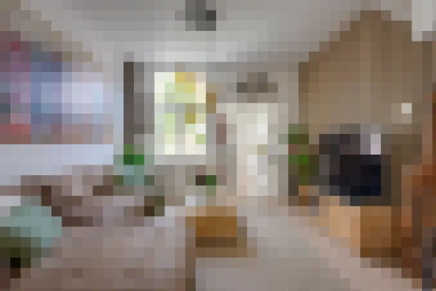 Lijsterstraat 115 Utrecht thumbnail 14