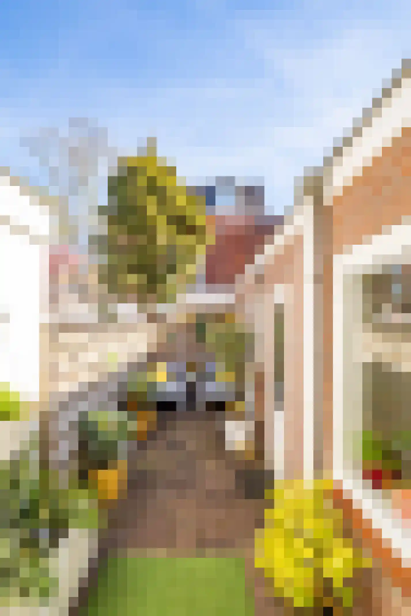 Lijsterstraat 115 Utrecht thumbnail 19