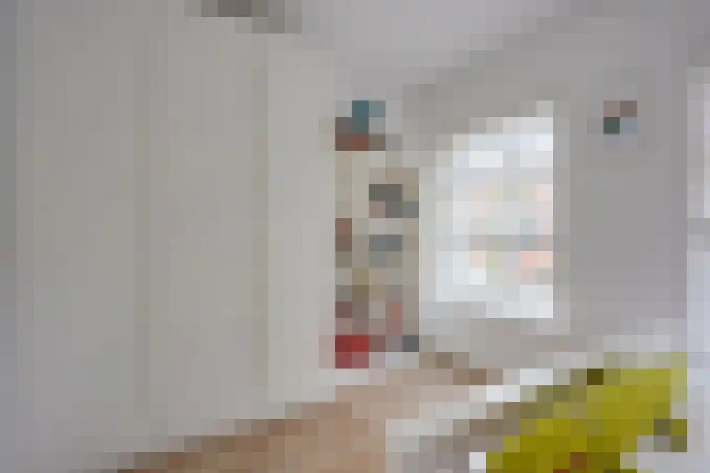 Lijsterstraat 115 Utrecht thumbnail 33
