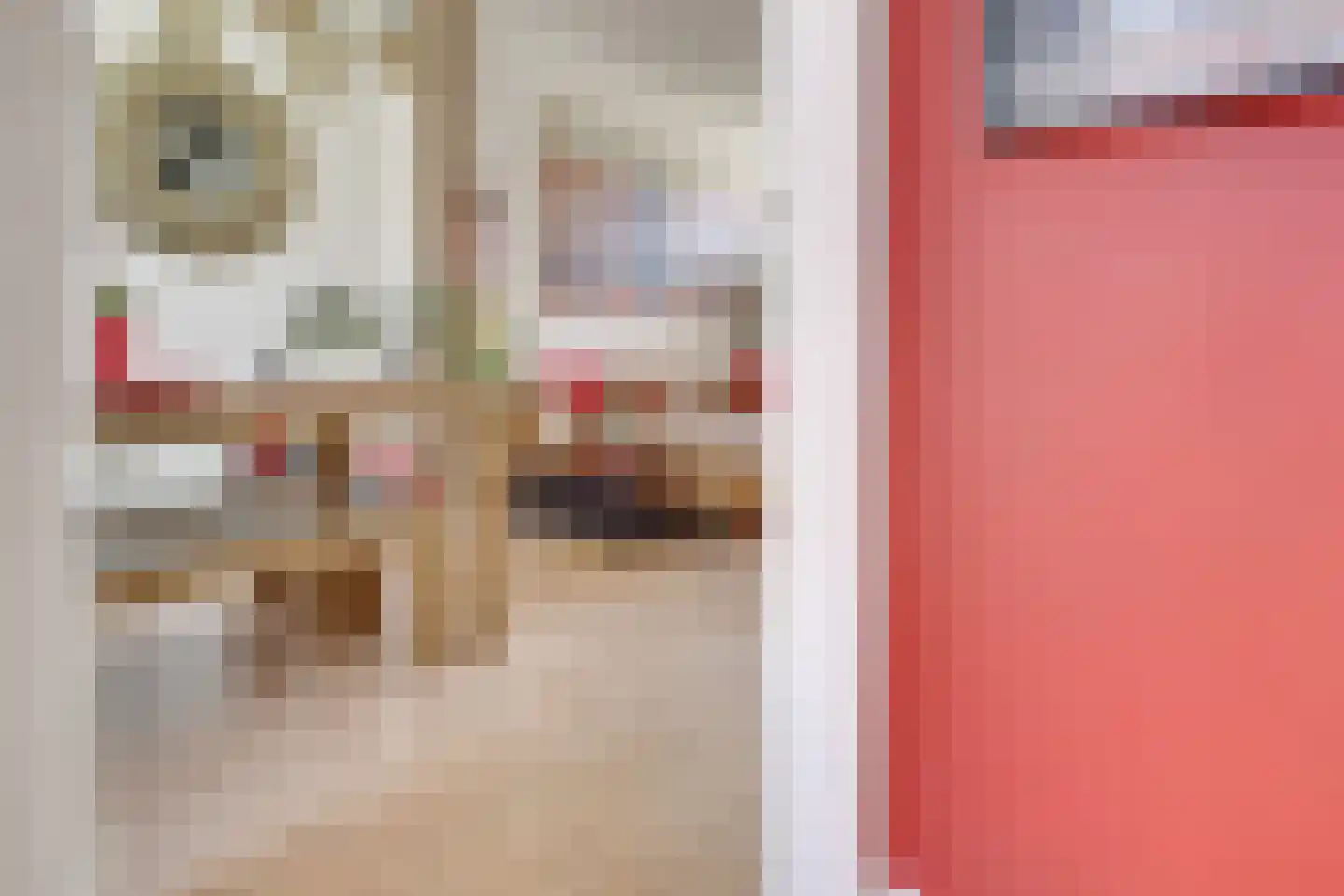 Lijsterstraat 115 Utrecht thumbnail 5