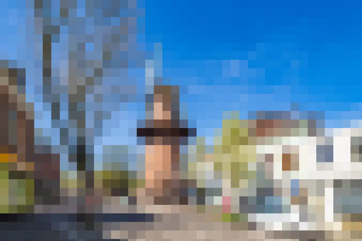 Lijsterstraat 115 Utrecht thumbnail 50