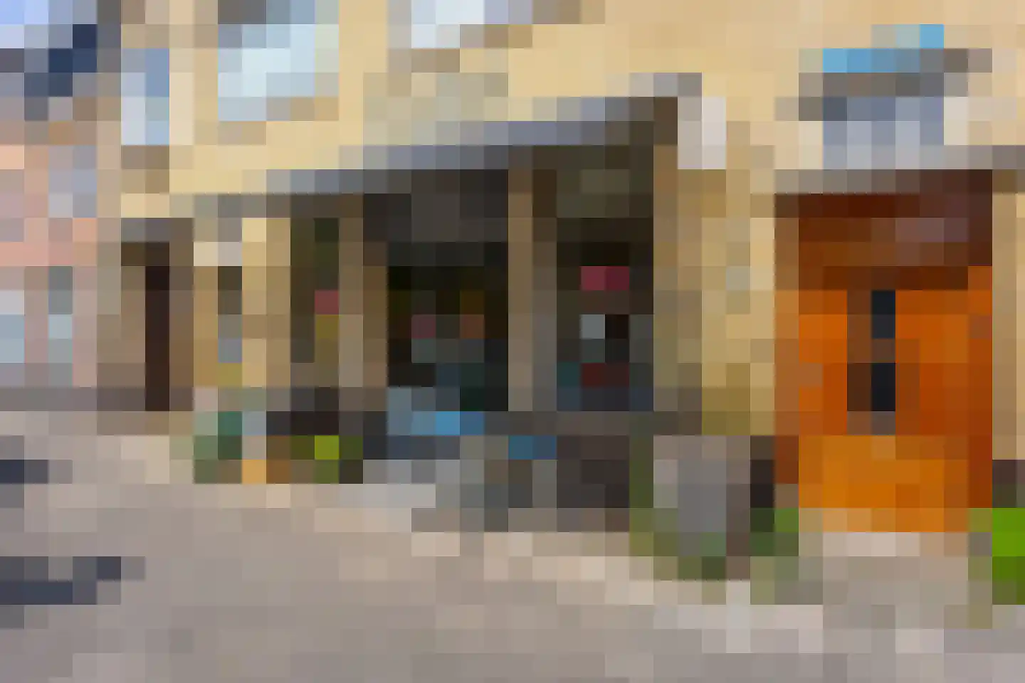 Lijsterstraat 115 Utrecht thumbnail 57