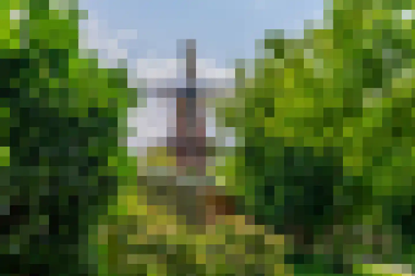 Lijsterstraat 115 Utrecht thumbnail 61