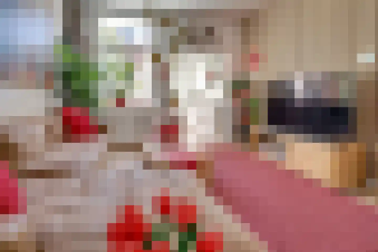 Lijsterstraat 115 Utrecht thumbnail 9