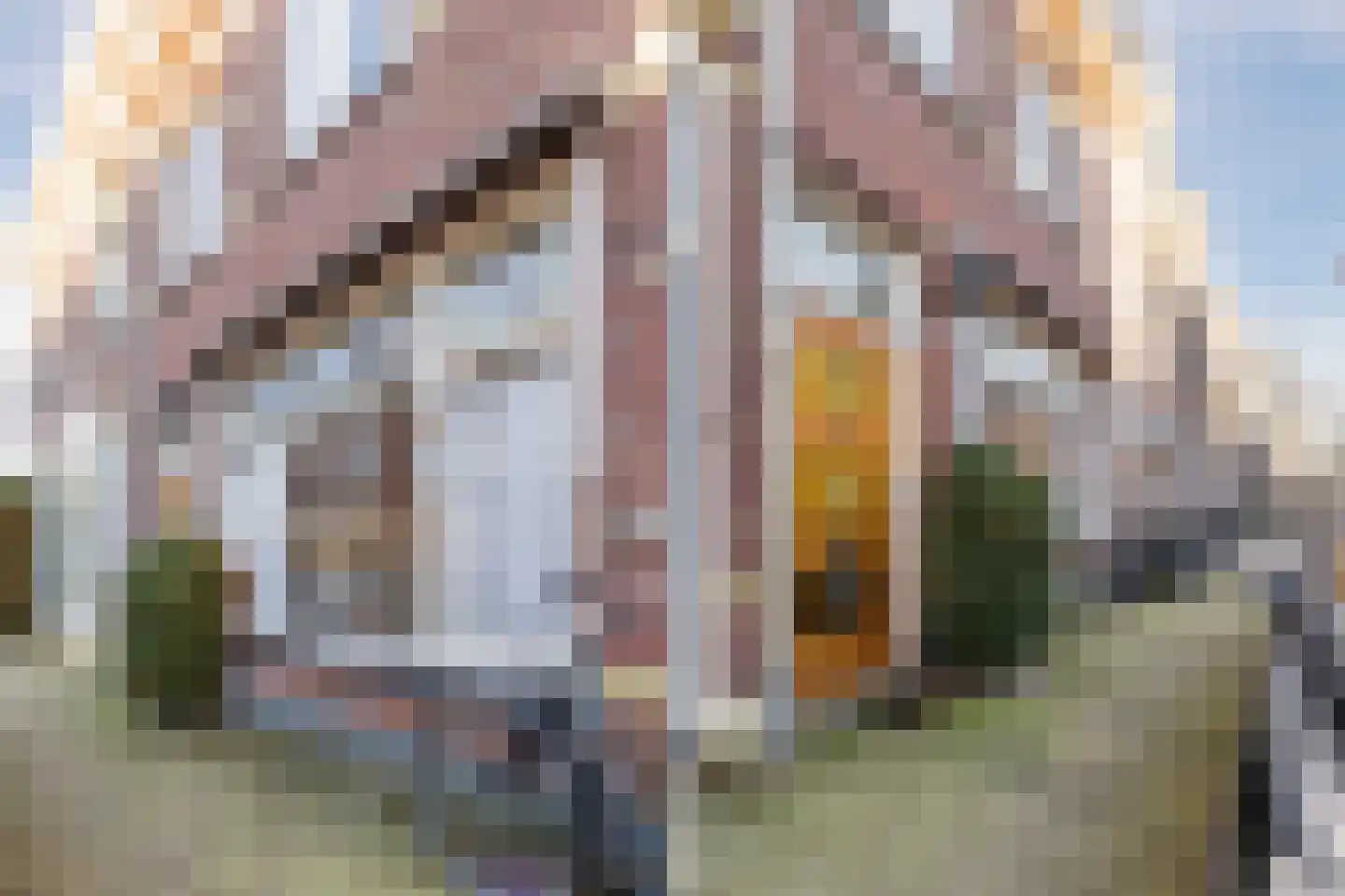 Lijsterstraat 117 Utrecht thumbnail 13