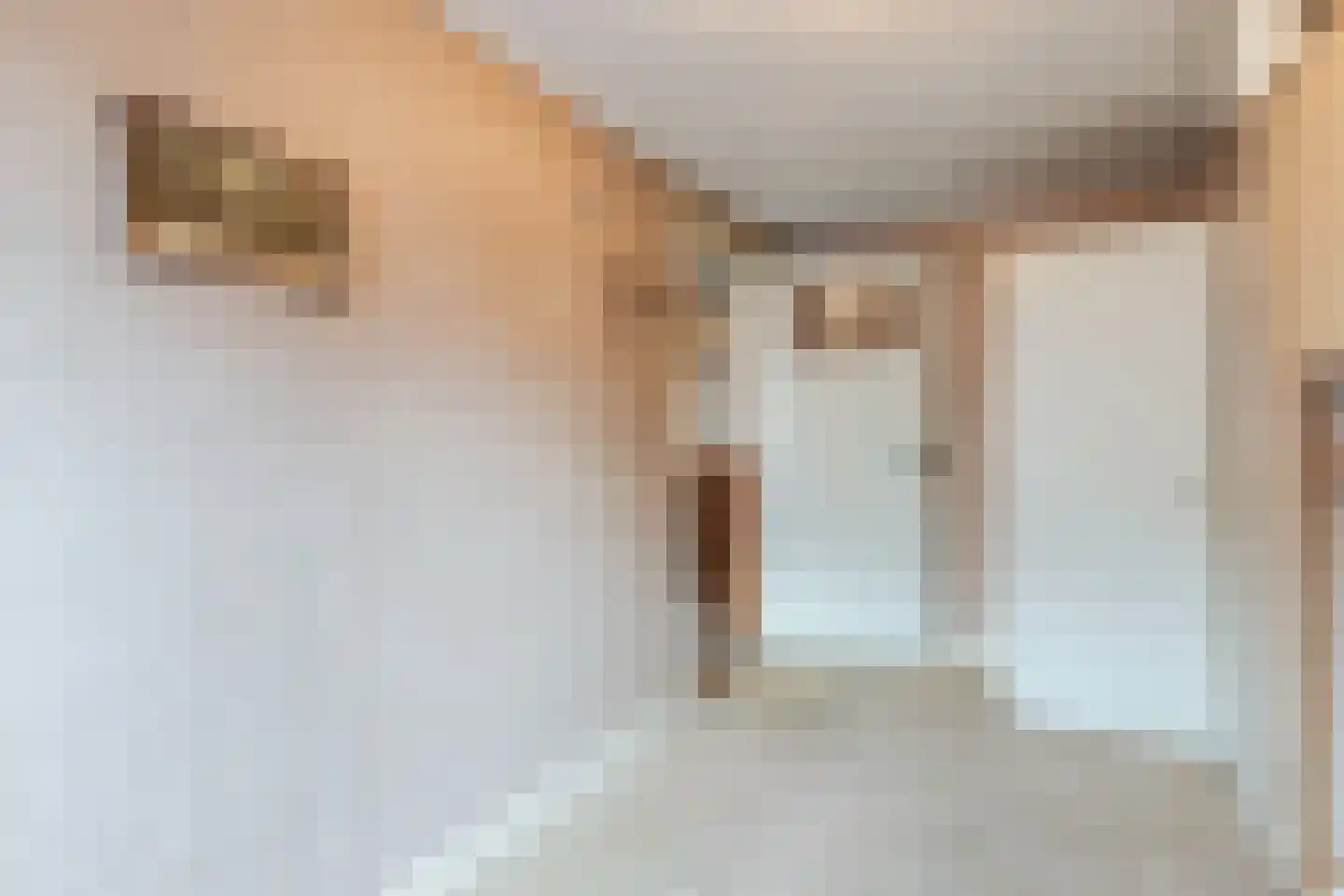 Lijsterstraat 117 Utrecht thumbnail 25