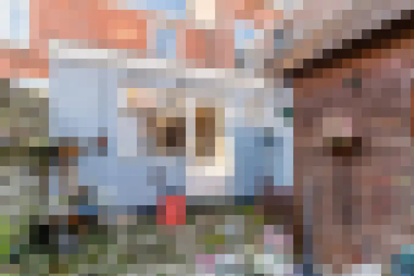 Lijsterstraat 117 Utrecht thumbnail 37