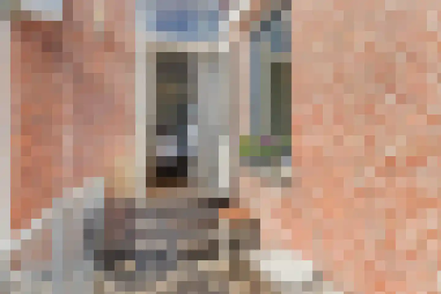 Lijsterstraat 119 Utrecht thumbnail 31