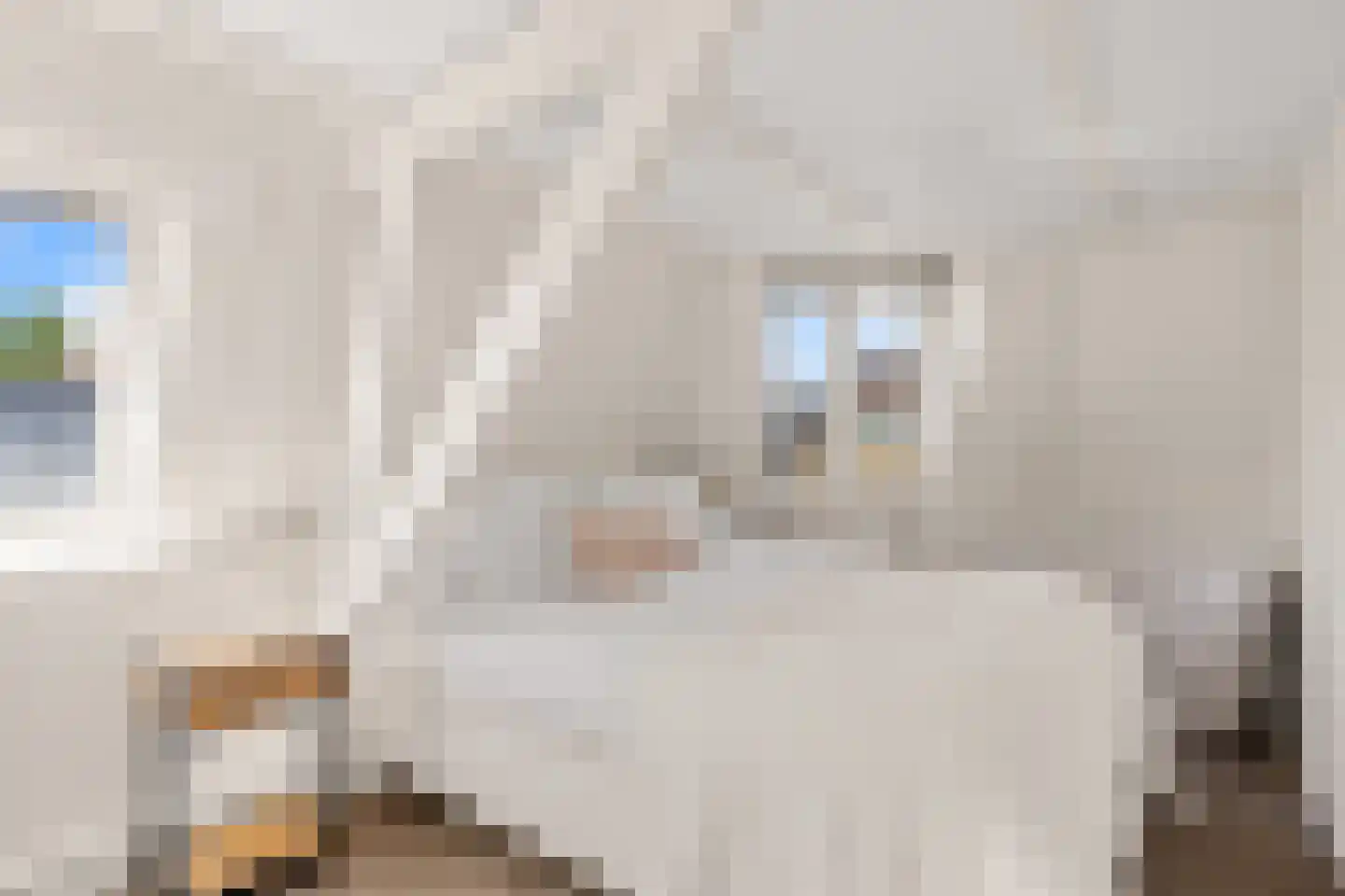 Lijsterstraat 119 Utrecht thumbnail 34