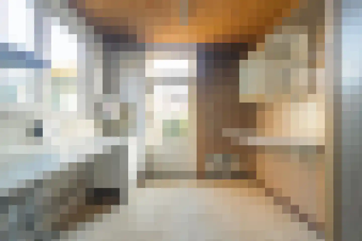 Lijsterstraat 13 Nuth thumbnail 8