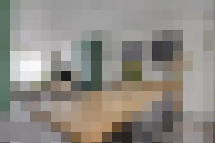 Lijsterstraat 13 Someren thumbnail 13