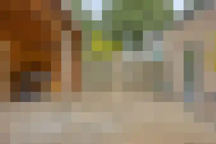 Lijsterstraat 13 Someren thumbnail 26