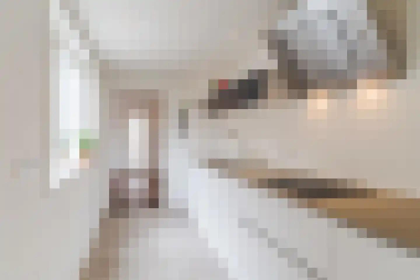 Lijsterstraat 13 Tilburg thumbnail 10