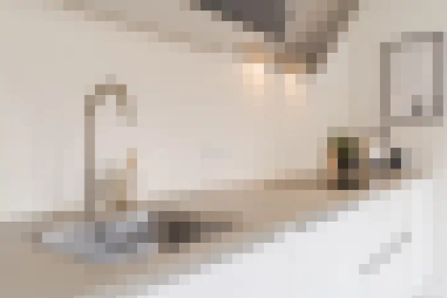 Lijsterstraat 13 Tilburg thumbnail 11