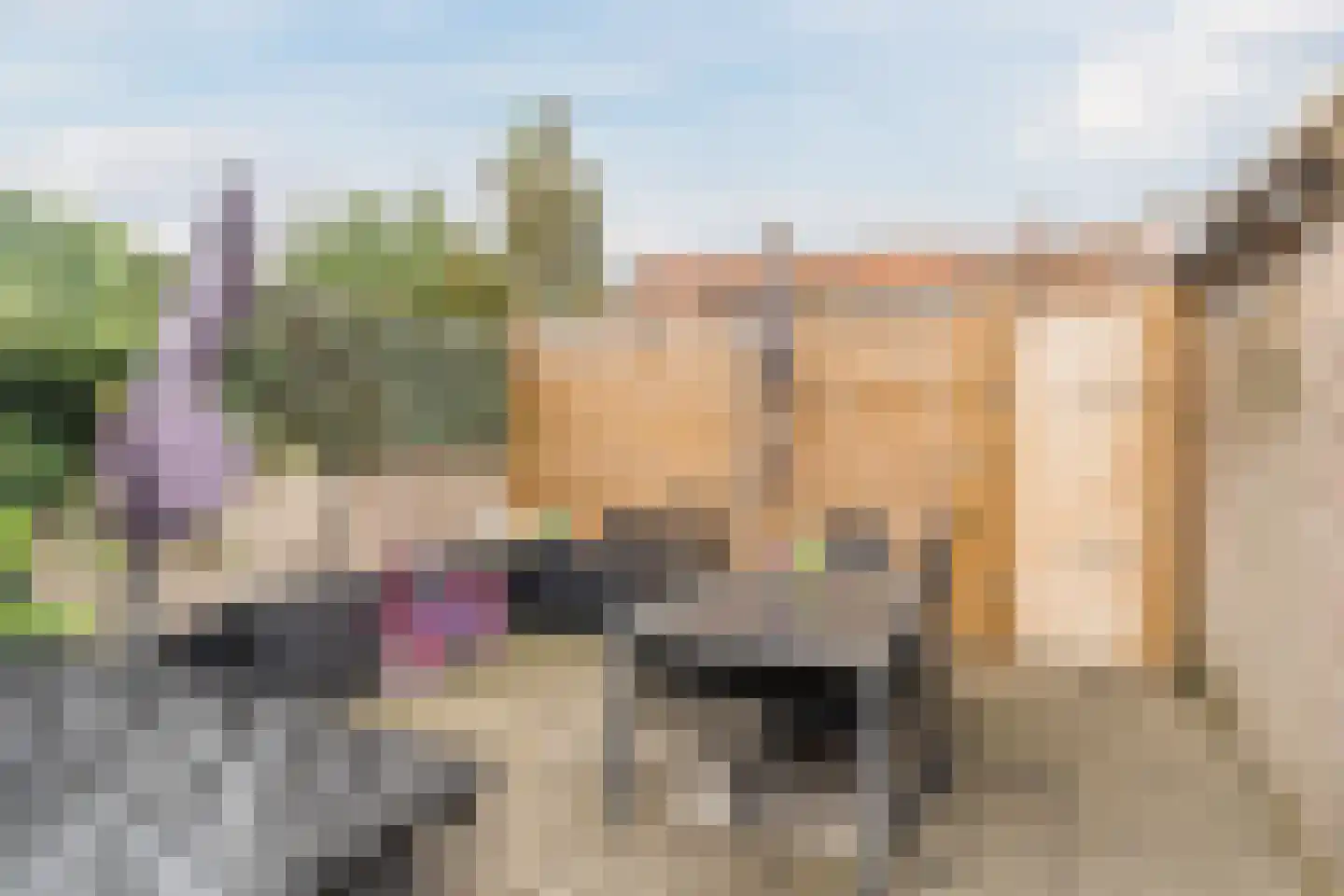 Lijsterstraat 13 Tilburg thumbnail 26