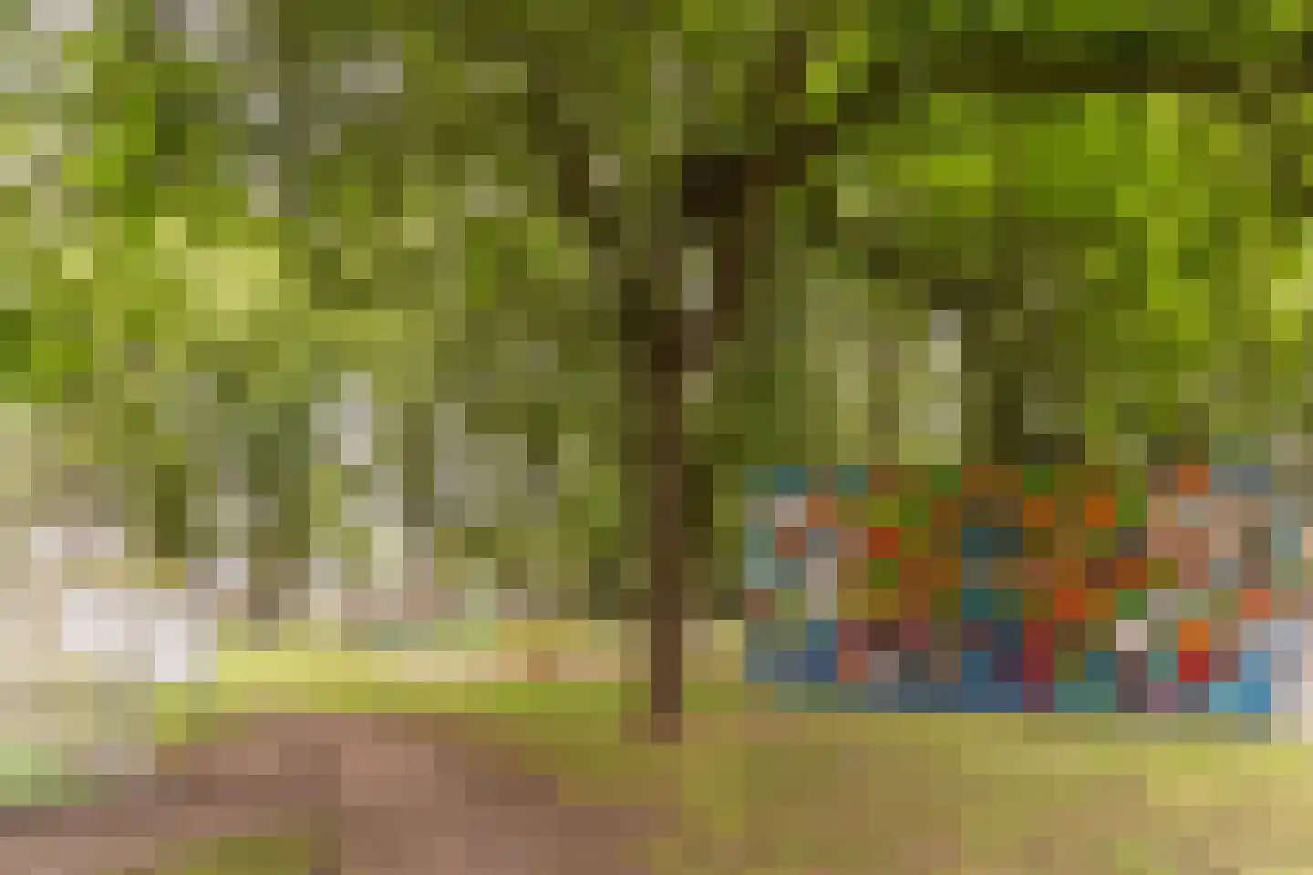 Lijsterstraat 13 Tilburg thumbnail 32