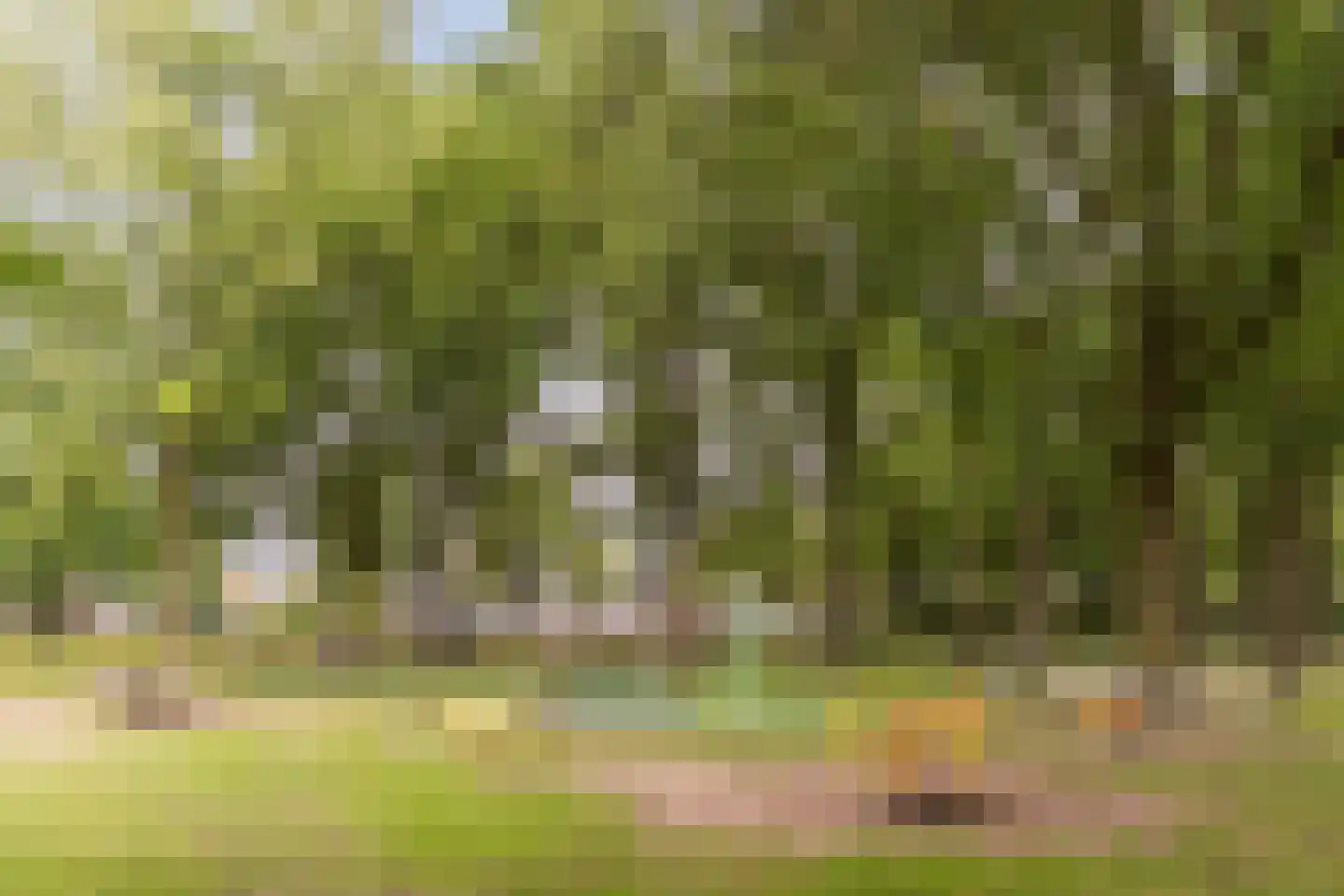 Lijsterstraat 13 Tilburg thumbnail 33