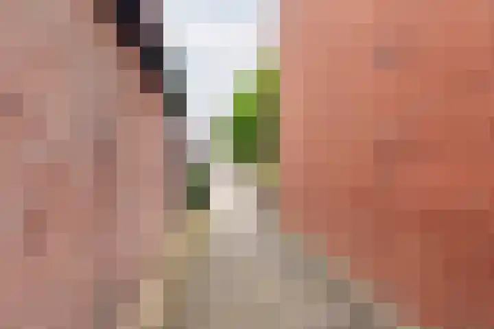 Lijsterstraat 13 Ulft thumbnail 39