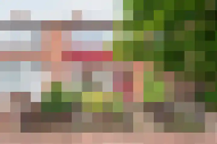 Lijsterstraat 13 Ulft thumbnail 4