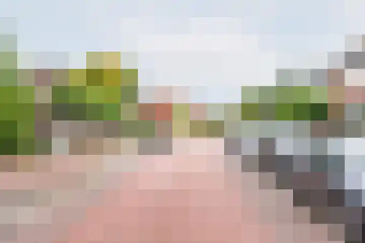 Lijsterstraat 13 Ulft thumbnail 40