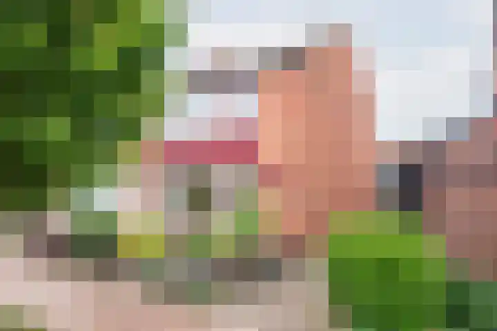 Lijsterstraat 13 Ulft thumbnail 5
