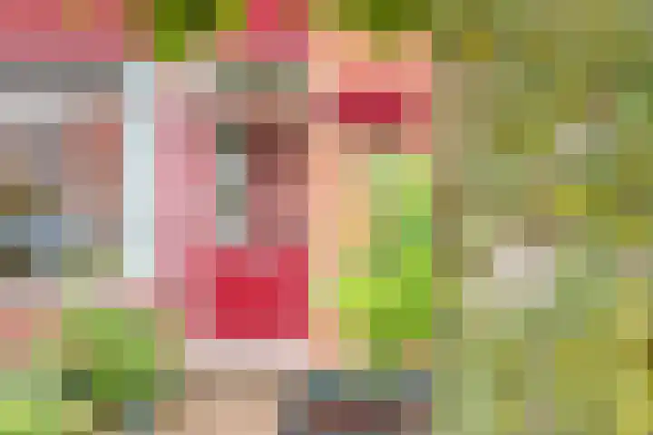 Lijsterstraat 13 Ulft thumbnail 6