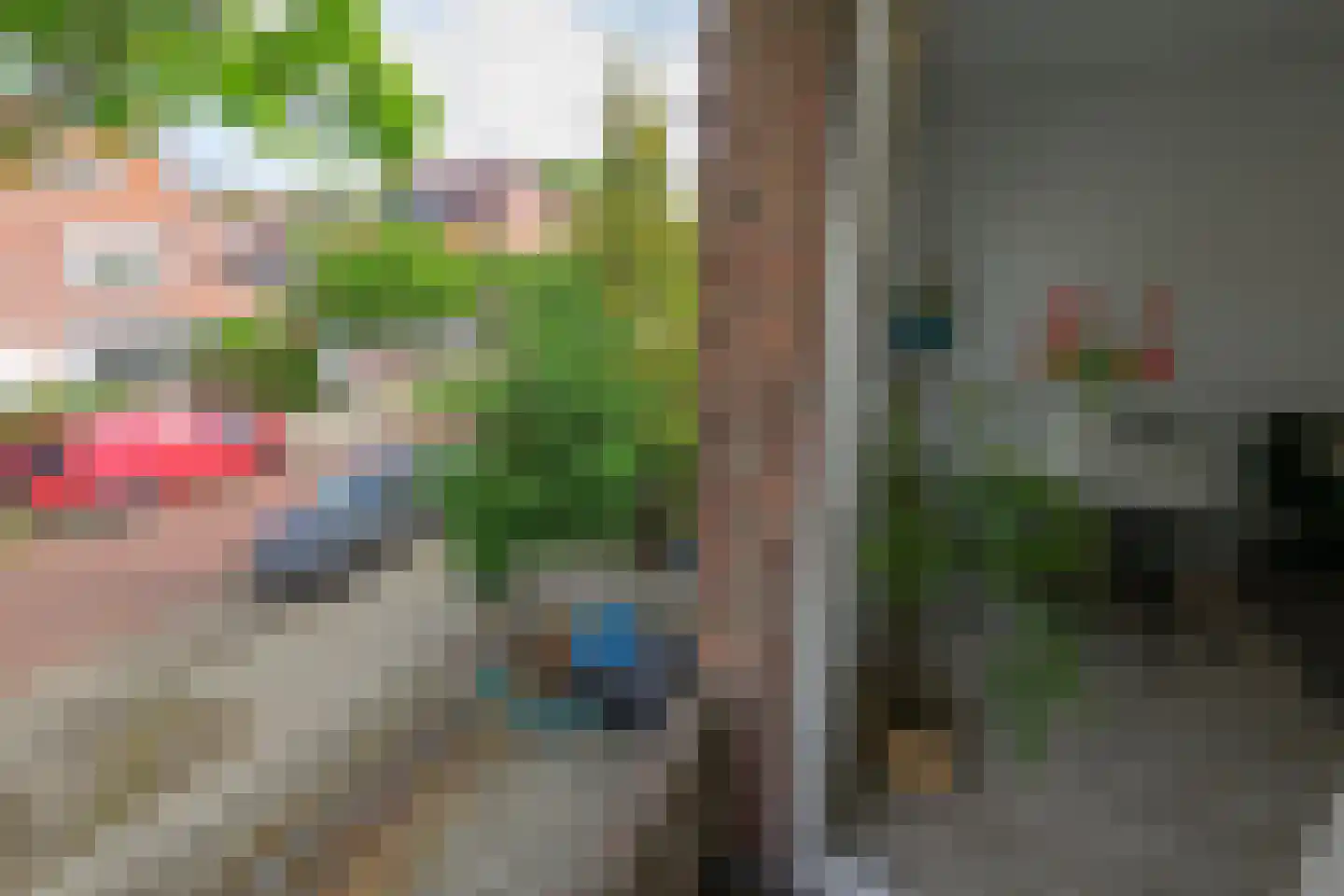 Lijsterstraat 14 A Leiden thumbnail 11