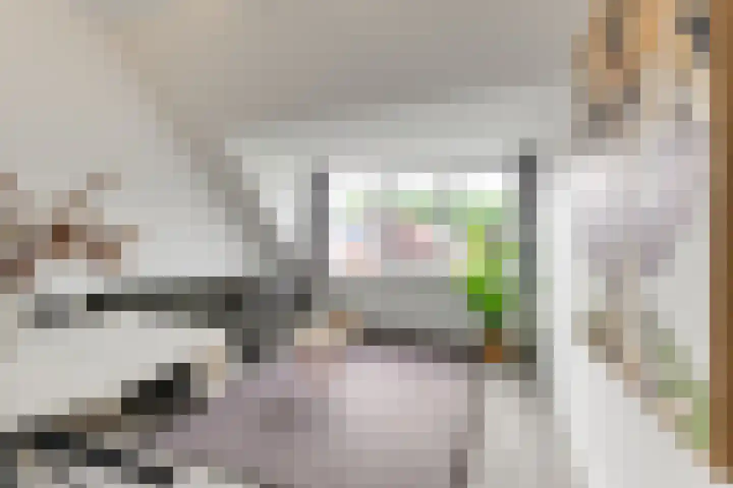 Lijsterstraat 14 B Leiden thumbnail 5